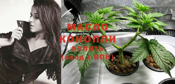 дмт Карпинск